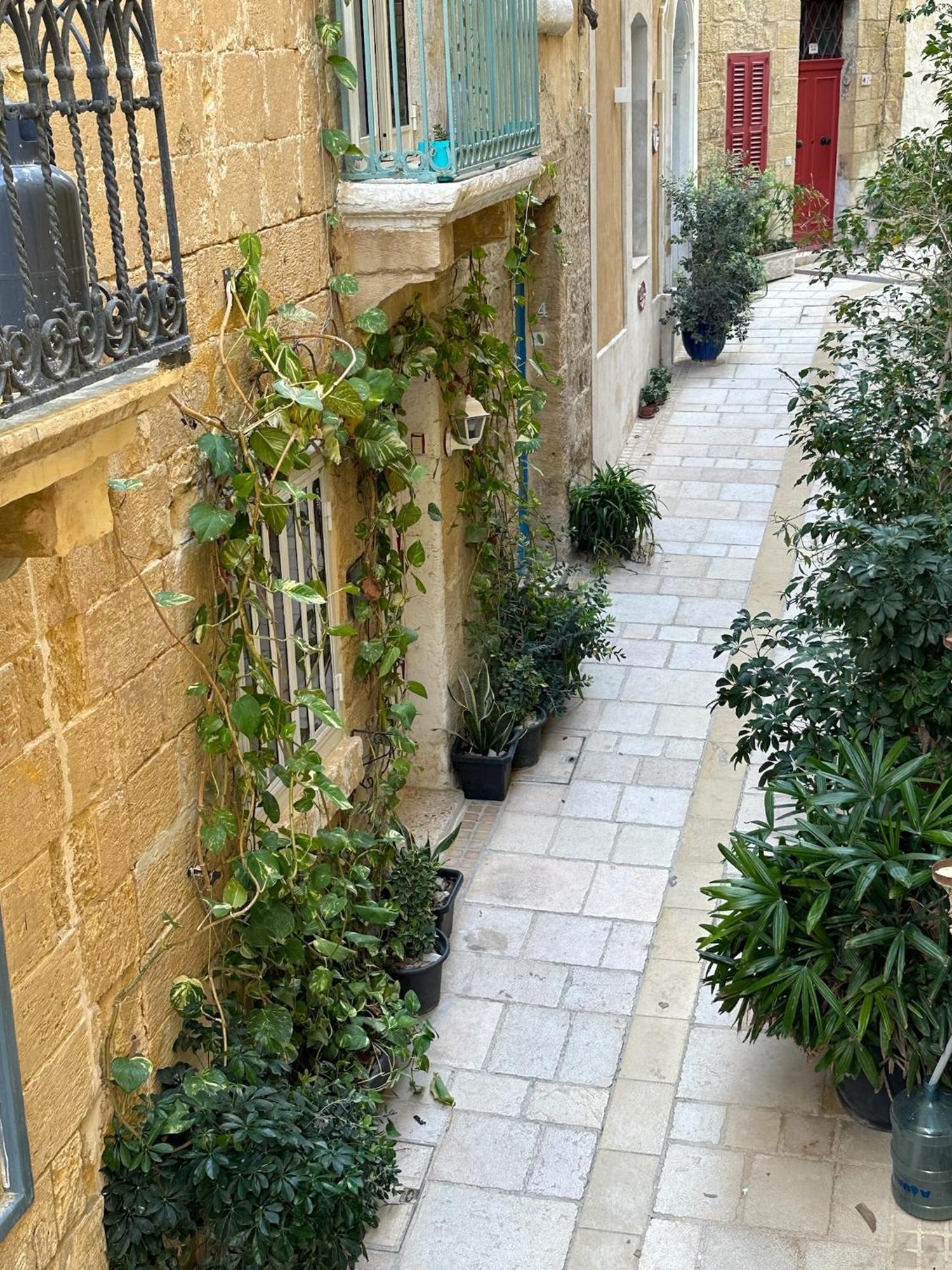 בירגו Felipe X Casa Norte מראה חיצוני תמונה